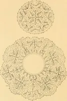 An illustration from Medici lace and the art of making it (1908)