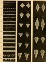An illustration from Medici lace and the art of making it (1908)