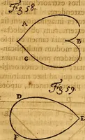 An illustration from Medicina mentis : sive, Artis inveniendi praecepta generalia (1695)