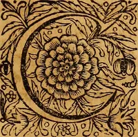 An illustration from Medicina mentis : sive, Artis inveniendi praecepta generalia (1695)