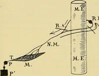 Picture 9 of 10 from Medicine and the mind : (la medecine de l'esprit) (1900), leaf 224