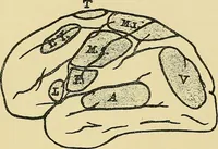 An illustration from Medicine and the mind : (la medecine de l'esprit) (1900)