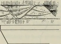 An illustration from Medieval architecture; its origins and development : with lists of monuments and bibliographies (1909)