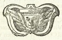 Picture 23 of 31 from Mediolanenses antiquitates ex urbis paroecijs collectae : ichnographicis ispsarum tabulis, recentibus rerum memorijs, varijs ecclesiasticis ritibus auctę et illustratę (1625), leaf 245