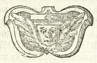 An illustration from Mediolanenses antiquitates ex urbis paroecijs collectae : ichnographicis ispsarum tabulis, recentibus rerum memorijs, varijs ecclesiasticis ritibus auctę et illustratę (1625)