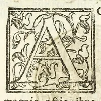 An illustration from Mediolanenses antiquitates ex urbis paroecijs collectae : ichnographicis ispsarum tabulis, recentibus rerum memorijs, varijs ecclesiasticis ritibus auctę et illustratę (1625)