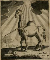 Picture 7 of 28 from Meditationes emblematicae de restaurata pace Germaniae = Sinnebilder von dem widergebrachten Teutschen Frieden (1649), leaf 16