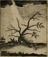 Picture 8 of 28 from Meditationes emblematicae de restaurata pace Germaniae = Sinnebilder von dem widergebrachten Teutschen Frieden (1649), leaf 18