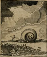 Picture 10 of 28 from Meditationes emblematicae de restaurata pace Germaniae = Sinnebilder von dem widergebrachten Teutschen Frieden (1649), leaf 22