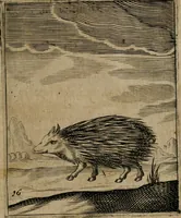 An illustration from Meditationes emblematicae de restaurata pace Germaniae = Sinnebilder von dem widergebrachten Teutschen Frieden (1649)