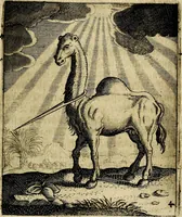 An illustration from Meditationes emblematicæ de restaurata pace Germaniæ. : Sinnebilder von dem widergebrachten teutschen Frieden, kürtzlich erklärt (1649)