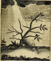 Picture 6 of 26 from Meditationes emblematicæ de restaurata pace Germaniæ. : Sinnebilder von dem widergebrachten teutschen Frieden, kürtzlich erklärt (1649), leaf 20