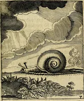 An illustration from Meditationes emblematicæ de restaurata pace Germaniæ. : Sinnebilder von dem widergebrachten teutschen Frieden, kürtzlich erklärt (1649)
