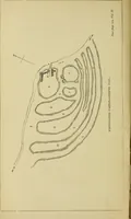 An illustration from Mediæval military architecture in England (1884)