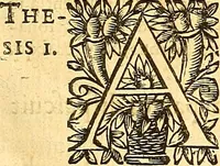 An illustration from Medulla Iustinianea,, sive, Dilucida totius juris civilis, juxta Digestorum methodum explicatio, : ubi quàm brevissimè fieri potuit, accuratissimæ definitiones, plenissimæ divisiones, adæquatæ cuilibet materiæ causæ, solidissima totius juris civilis principia, cùm ex ipso juris fonte, tùm ex optimis hujus seculi authoribus summâ cum lucubratione collecta: actiones tam reales, quàm personales, cui, adversus quem, & ad quid competant, jus vetus, novum, & novissimum, addito jure canonico, feudali, & recessibus imperij, quoties à jure nostro Romano recedunt; nobilissimæ & utilissimæ in omni jure occurrentes quæstiones (si non explicitè semper, implicitè tamen h[oc]. e[st]. ut ex dictis erui & resolvi queant) omissis reliquis haud ita necessariis, ne in immensum excrescat opus, perspicuè proponuntur & resolvuntur. (1666)