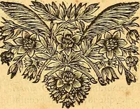 An illustration from Medulla Iustinianea,, sive, Dilucida totius juris civilis, juxta Digestorum methodum explicatio, : ubi quàm brevissimè fieri potuit, accuratissimæ definitiones, plenissimæ divisiones, adæquatæ cuilibet materiæ causæ, solidissima totius juris civilis principia, cùm ex ipso juris fonte, tùm ex optimis hujus seculi authoribus summâ cum lucubratione collecta: actiones tam reales, quàm personales, cui, adversus quem, & ad quid competant, jus vetus, novum, & novissimum, addito jure canonico, feudali, & recessibus imperij, quoties à jure nostro Romano recedunt; nobilissimæ & utilissimæ in omni jure occurrentes quæstiones (si non explicitè semper, implicitè tamen h[oc]. e[st]. ut ex dictis erui & resolvi queant) omissis reliquis haud ita necessariis, ne in immensum excrescat opus, perspicuè proponuntur & resolvuntur. (1666)