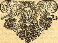 An illustration from Medulla Iustinianea,, sive, Dilucida totius juris civilis, juxta Digestorum methodum explicatio, : ubi quàm brevissimè fieri potuit, accuratissimæ definitiones, plenissimæ divisiones, adæquatæ cuilibet materiæ causæ, solidissima totius juris civilis principia, cùm ex ipso juris fonte, tùm ex optimis hujus seculi authoribus summâ cum lucubratione collecta: actiones tam reales, quàm personales, cui, adversus quem, & ad quid competant, jus vetus, novum, & novissimum, addito jure canonico, feudali, & recessibus imperij, quoties à jure nostro Romano recedunt; nobilissimæ & utilissimæ in omni jure occurrentes quæstiones (si non explicitè semper, implicitè tamen h[oc]. e[st]. ut ex dictis erui & resolvi queant) omissis reliquis haud ita necessariis, ne in immensum excrescat opus, perspicuè proponuntur & resolvuntur. (1666)