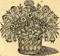 An illustration from Medulla Iustinianea,, sive, Dilucida totius juris civilis, juxta Digestorum methodum explicatio, : ubi quàm brevissimè fieri potuit, accuratissimæ definitiones, plenissimæ divisiones, adæquatæ cuilibet materiæ causæ, solidissima totius juris civilis principia, cùm ex ipso juris fonte, tùm ex optimis hujus seculi authoribus summâ cum lucubratione collecta: actiones tam reales, quàm personales, cui, adversus quem, & ad quid competant, jus vetus, novum, & novissimum, addito jure canonico, feudali, & recessibus imperij, quoties à jure nostro Romano recedunt; nobilissimæ & utilissimæ in omni jure occurrentes quæstiones (si non explicitè semper, implicitè tamen h[oc]. e[st]. ut ex dictis erui & resolvi queant) omissis reliquis haud ita necessariis, ne in immensum excrescat opus, perspicuè proponuntur & resolvuntur. (1666)