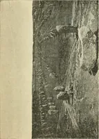 An illustration from The megalithic monuments of Carnac and Locmariaquer; their purpose and age (1908)