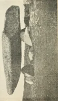An illustration from The megalithic monuments of Carnac and Locmariaquer; their purpose and age (1908)