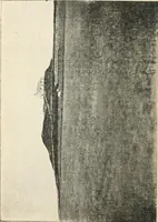 An illustration from The megalithic monuments of Carnac and Locmariaquer; their purpose and age (1908)