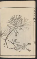 An illustration from Meika gafu (1814)