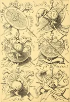 Picture 62 of 408 from Meister des ornamentstichs, eine auswahl aus vier jahrhunderten (1900), leaf 63