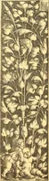 An illustration from Meister des ornamentstichs, eine auswahl aus vier jahrhunderten (1900)