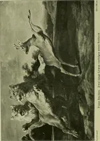 An illustration from Meisterwerke der Älteren Pinakothek in München ... (1922)