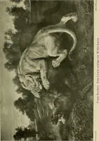 An illustration from Meisterwerke der Älteren Pinakothek in München ... (1922)