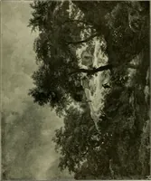 Picture 209 of 289 from Meisterwerke der Älteren Pinakothek in München ... (1922), leaf 240