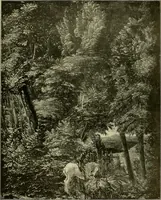 Picture 73 of 289 from Meisterwerke der Älteren Pinakothek in München ... (1922), leaf 88