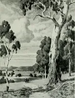 An illustration from Melba's gift book of Australian art and literature (1915)