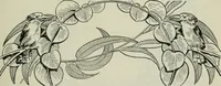 An illustration from Melba's gift book of Australian art and literature (1915)