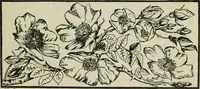 An illustration from Melba's gift book of Australian art and literature (1915)