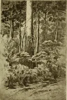 An illustration from Melba's gift book of Australian art and literature (1915)