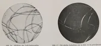 Picture 2 of 16 from Melliand's Textilberichte (1923), leaf 93