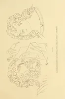 An illustration from Melozzo da Forli : ein Beitrag zur Kunst und Kulturgeschichte Italiens (1886)