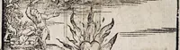 An illustration from M. Elucidarius Von allerhand Geschöpffen Gottes, den Engeln, den Himmeln, Gestirn, Planeten, vnd wie alle Creaturen geschaffen seind auff Erden : auch wie die Erdt in drey Theyl getheylet, vnnd dero Länder, sampt der Völcker darinn, Eigenschafften, vnd wunderbarlichen Thieren, auss Plinio Secundo, Solino, und andern Weltbeschreibern, ein kurtze vnd lustige Anzeigung : mit angehencktem Bauren Compassz, vor die jhenigen gestellt, so sich auff den Compassz nicht verstehen, oder denselben nicht allzeit bey sich haben, die Stundt dess Tages in der Handt durch den Strohalmen zu lehrnen (1584)