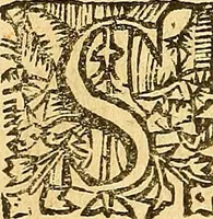 Picture 22 of 84 from Melvsine (1610), leaf 23