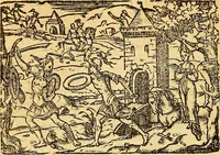 Picture 42 of 84 from Melvsine (1610), leaf 43