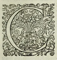 Picture 5 of 21 from Memoires de l'histoire du Languedoc, curieusement et fidelement recueillis de diuers autheurs grecs, latins, françois & espagnols; & de plusieurs titres & chartes tirés des archifs des villes & communautez de la mesme prouince, et autres circonuoisines (1633), leaf 101