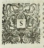 An illustration from Memoires de l'histoire du Languedoc, curieusement et fidelement recueillis de diuers autheurs grecs, latins, françois & espagnols; & de plusieurs titres & chartes tirés des archifs des villes & communautez de la mesme prouince, et autres circonuoisines (1633)