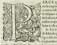 An illustration from Memoires de l'histoire du Languedoc, curieusement et fidelement recueillis de diuers autheurs grecs, latins, françois & espagnols; & de plusieurs titres & chartes tirés des archifs des villes & communautez de la mesme prouince, et autres circonuoisines (1633)