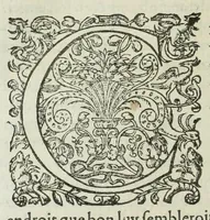 An illustration from Memoires de l'histoire du Languedoc, curieusement et fidelement recueillis de diuers autheurs grecs, latins, françois & espagnols; & de plusieurs titres & chartes tirés des archifs des villes & communautez de la mesme prouince, et autres circonuoisines (1633)