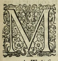 An illustration from Memoires de l'histoire du Languedoc, curieusement et fidelement recueillis de diuers autheurs grecs, latins, françois & espagnols; & de plusieurs titres & chartes tirés des archifs des villes & communautez de la mesme prouince, et autres circonuoisines (1633)