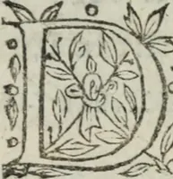 An illustration from Memoires d'estat (1622)
