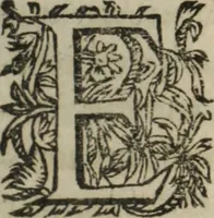 An illustration from Memoires d'estat (1622)