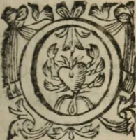 An illustration from Memoires d'estat (1622)