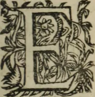 An illustration from Memoires d'estat (1622)